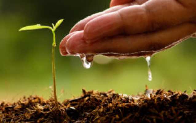 خرید  قارچ کش پروموپروپیکونازول