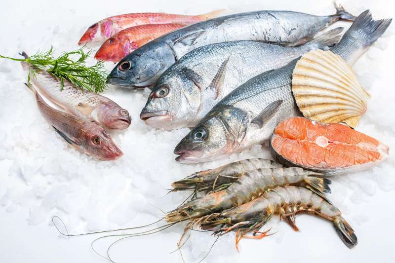 بازار خرید آبزیان دریایی ماهی و میگو|  خرید ماهی دریایی و میگو به قیمت عمده و جزء 